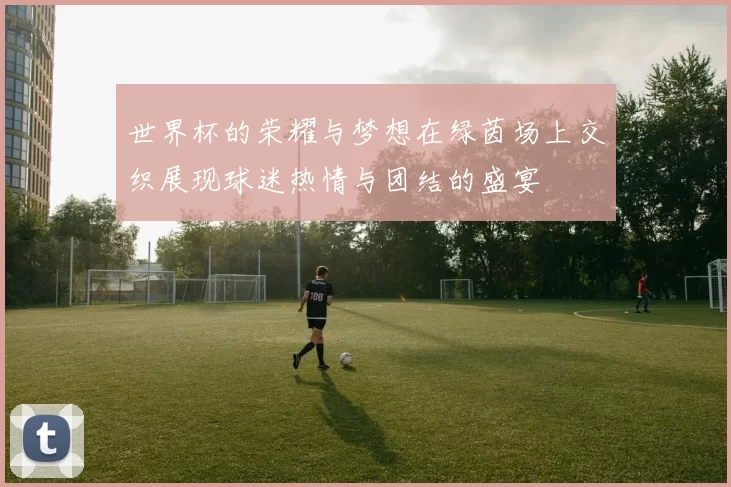 世界杯的荣耀与梦想在绿茵场上交织展现球迷热情与团结的盛宴