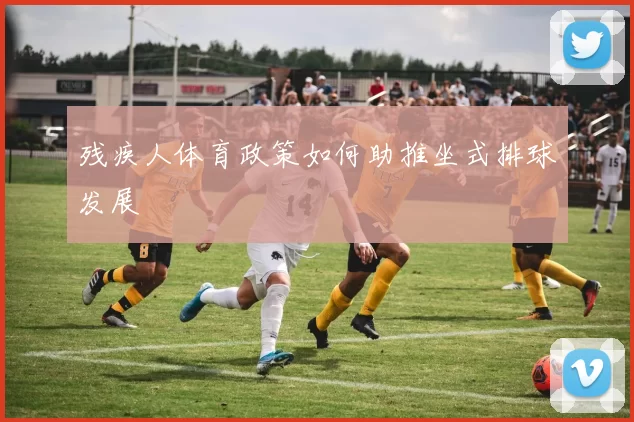 残疾人体育政策如何助推坐式排球发展