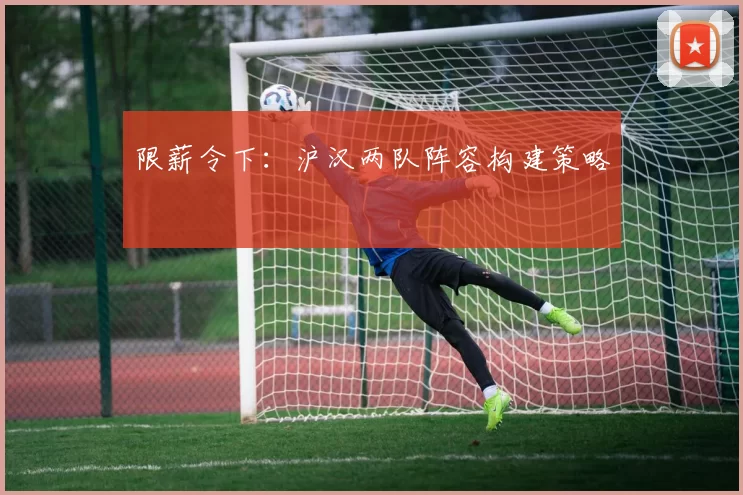 限薪令下：沪汉两队阵容构建策略