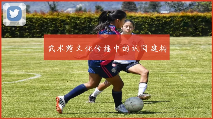 武术跨文化传播中的认同建构