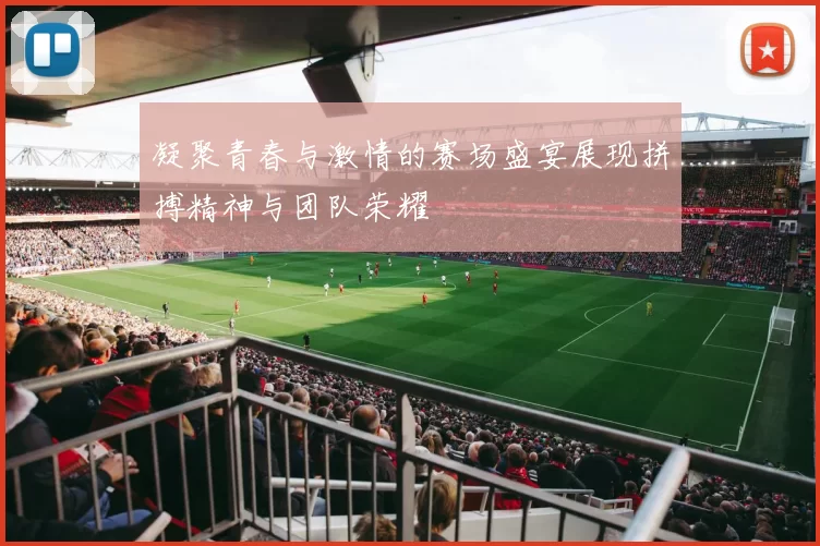凝聚青春与激情的赛场盛宴展现拼搏精神与团队荣耀