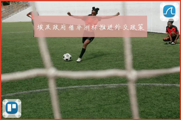 埃及政府借非洲杯推进外交政策