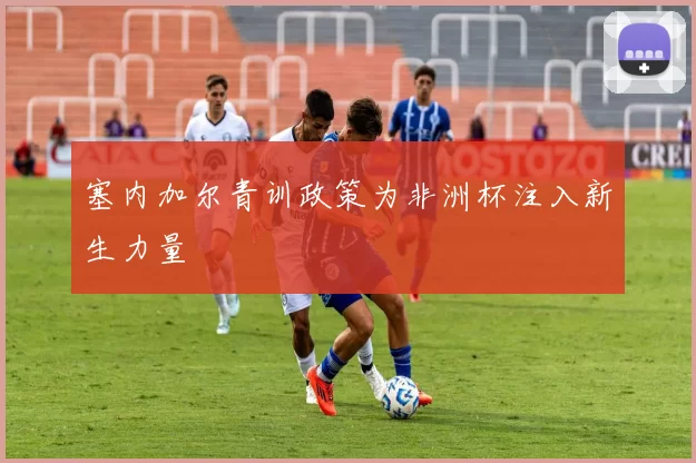 塞内加尔青训政策为非洲杯注入新生力量
