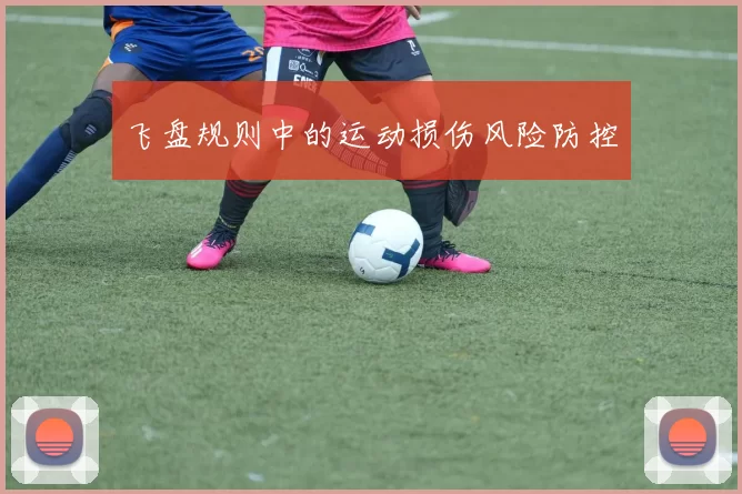 飞盘规则中的运动损伤风险防控